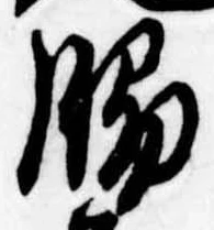 Đã định vị 脇
