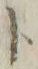 字ト