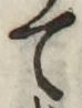 字て