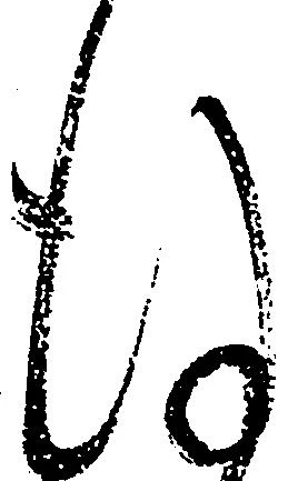 Đã định vị 謹