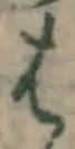 글자 は
