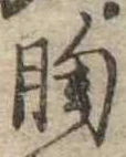 胸 위치 확인됨