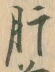글자 肝