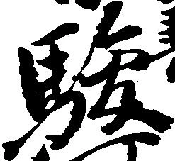 駿の位置