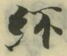 紑の位置