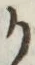 글자 か