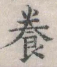 位置定マレル養