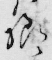 글자 様