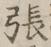 張 위치 확인됨