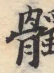 髑 위치 확인됨