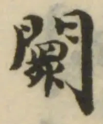 闤の位置