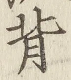 Character 背