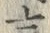 Chữ 言