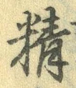精 위치 확인됨