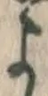 文字 よ