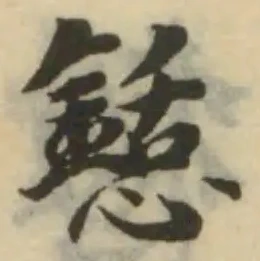 懖の位置