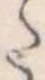 Đã định vị 𛁠