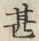 글자 甚