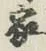 文字家