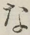 글자 な