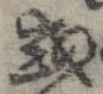 已定位或