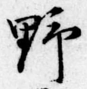 野 위치 확인됨