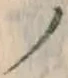 “ノ”字