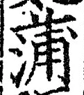 文字蒲
