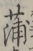 字蒲