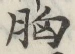 글자 胸