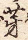 芽 위치 확인됨