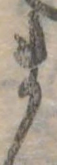 ま 위치 확인됨
