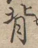 背 위치 확인됨