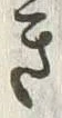“き”字