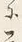 글자 に