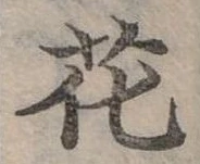 花 위치 확인됨