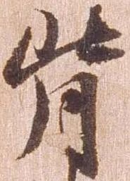背 위치 확인됨