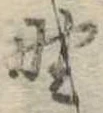 野 위치 확인됨