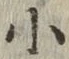 글자 小