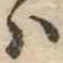𛂞 위치 확인됨