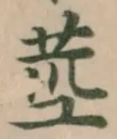 莖の位置