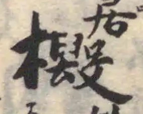 檓の位置
