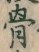 글자 骨