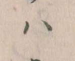 已定位𛂞