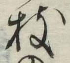 字枝
