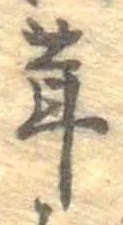 茸 위치 확인됨