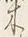 글자 木