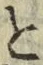 글자 と