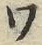 字ワ