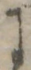 位置 確認된 𛂌